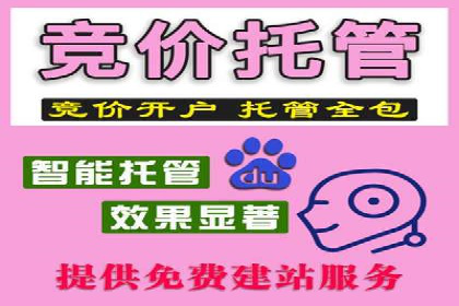 实战解析：SEO与SEM结合案例研究